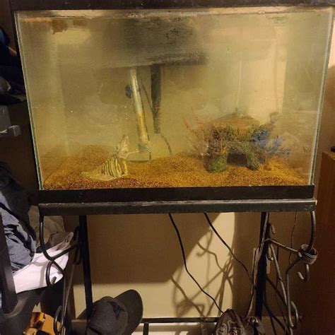 Best 20 Gallon Fish Tank And Stand 4ft X 2ft For Sale In Regina