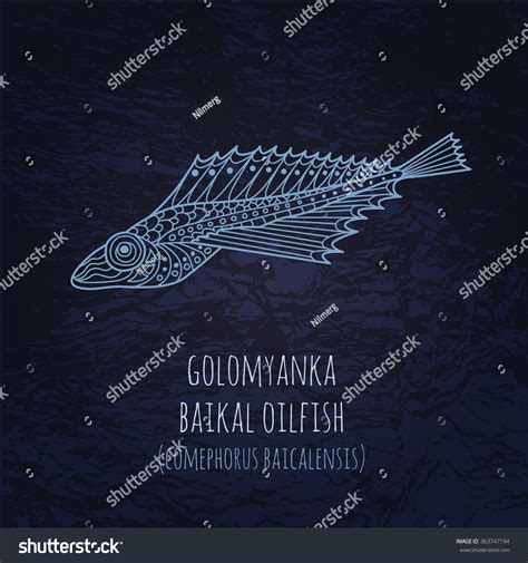 Baikal Oilfish Golomyanka Illustration In Doodle Royalty Free Stock