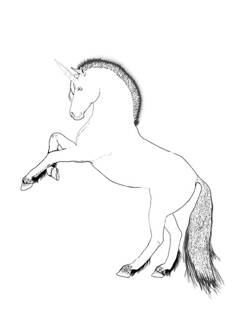 Unicorn Design Horse · Free Image On Pixabay