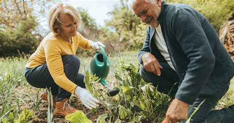 Benefits Of Gardening For Seniors And The Elderly Amico