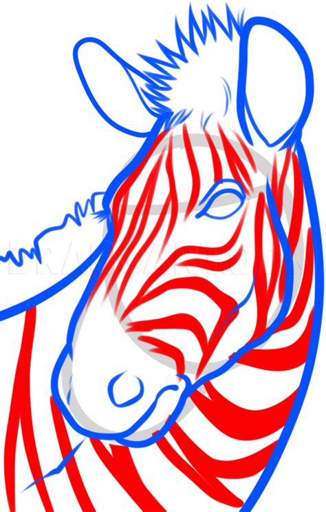How To Draw A Zebra Head Step By Step Drawing Guide By Dawn