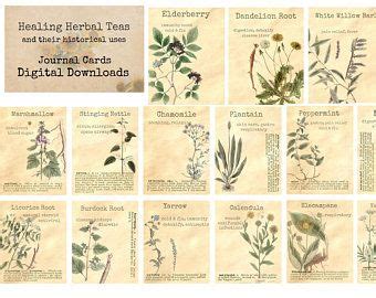 Digital Kitchen Chart Healing Herbs Spices Etsy Tea Journal Journal Cards Healing Herbs