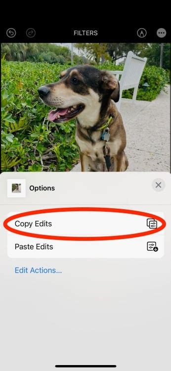 How To Copy And Paste Photo Edits With Ios 16 Mashable