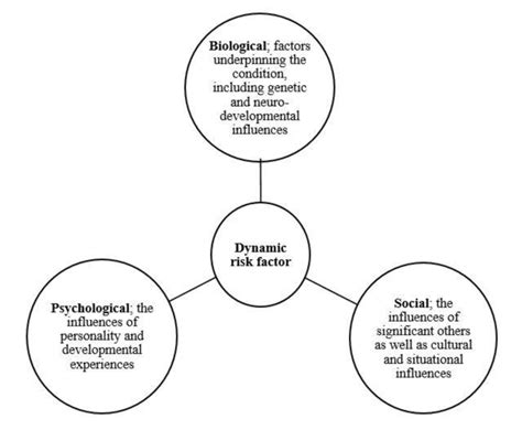 The biopsychosocial model is both a philosophy of clinical care and a practical clinical guide. Biopsychosocial Model: | Download Scientific Diagram