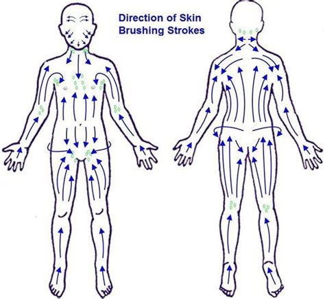 Benefits Of Dry Brushing Dry Brushing Skin Dry Brushing Technique