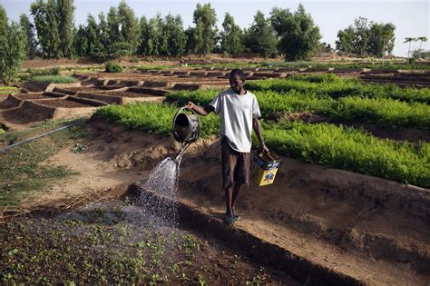 Pdf Agriculture Au Niger Pdf Pdf Télécharger Download