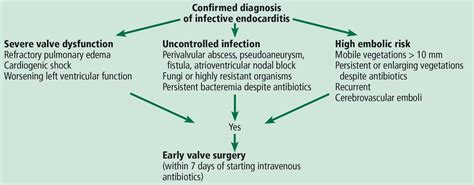 How Soon Should Patients With Infective Endocarditis Be Referred For