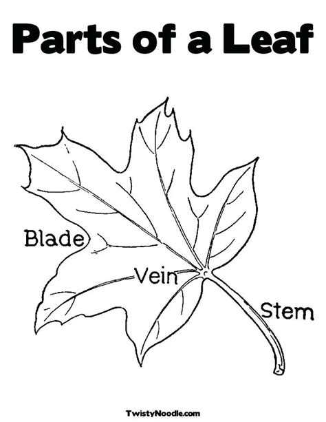Tree leaf apple stock photos and images. Parts Of A Plant Coloring Page at GetColorings.com | Free ...