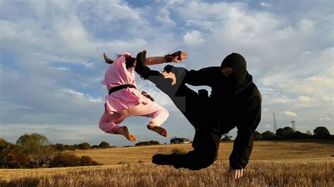 Dan Hibiki Vs Last Ninja Flying Attack By Saikyoryuonline On Deviantart
