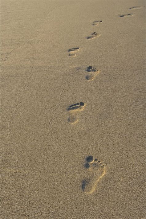 Die rührende geschichte von den spuren im sand ist einfach nur schön. vergängliche Spuren im Sand Foto & Bild | landschaft, meer ...