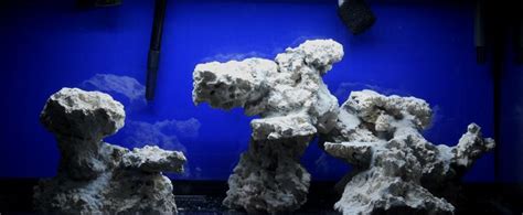 Keep in mind your space within the reef. Minimalist Aquascaping - Page 76 - Reef Central Online ...