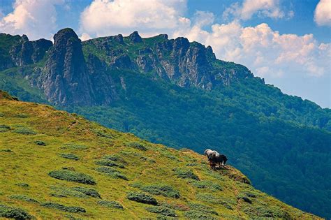 Nacionalni Park Stara Planina Trip Serbia