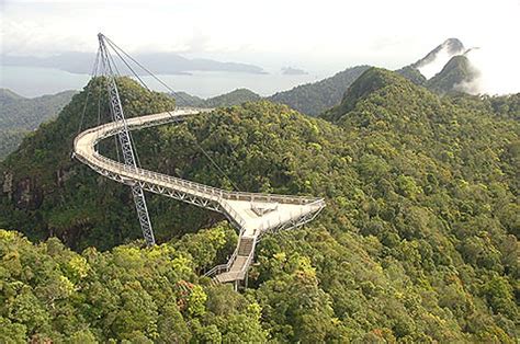 Top 5 Most Innovative Green Bridges On The Planet