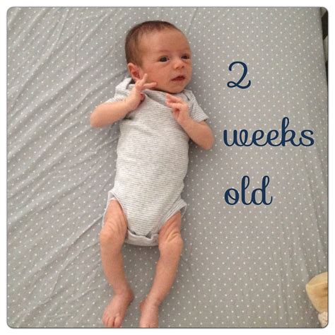 Growing Baby Gardner Cole 2 Weeks July 2 2013