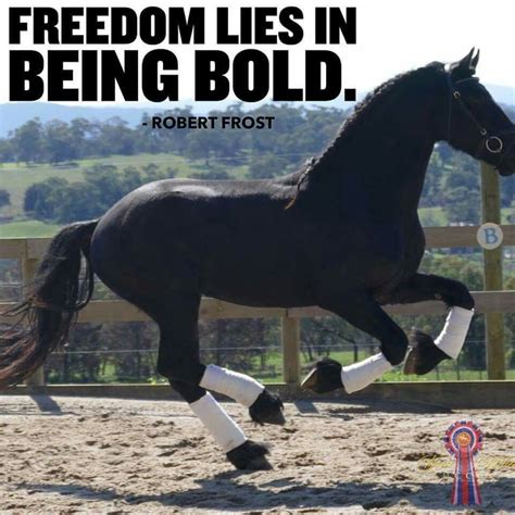 List of top 22 famous quotes and sayings about dressage to read and share with friends on your. Being bold (With images) | Dressage, Horse quotes, Horses