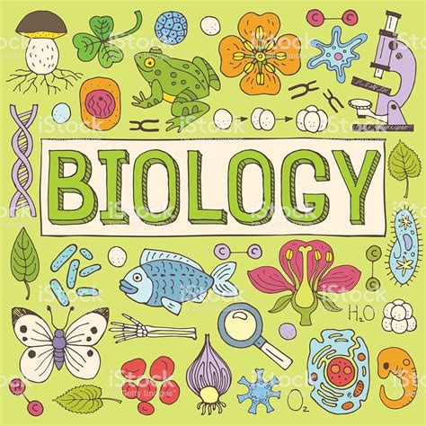 Biology Portadas De Biologia Ejemplo De La Ciencia Caratula De
