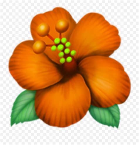 Flower Emoji Png Transparent Orange Flower Emoji Free Transparent Emoji Emojipng Com
