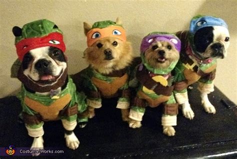 Ninja Turtle Dogs Costume
