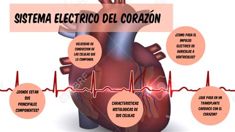 Sistema Electrico Del Corazón By Mariel On Prezi