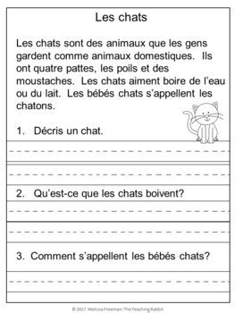 French Reading Comprehension Passages & Questions (Compréhension de la ...