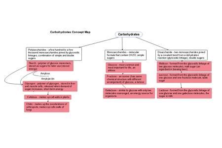 Carbohydrate Concept Map Template EdrawMind