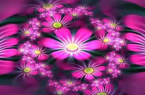 Free Download Nice Wallpapers Cool Flowers Wallpapers Pack 2 500x330