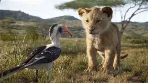 Lion Cub Simba Learns His Destiny In New Trailer For Live Action Lion