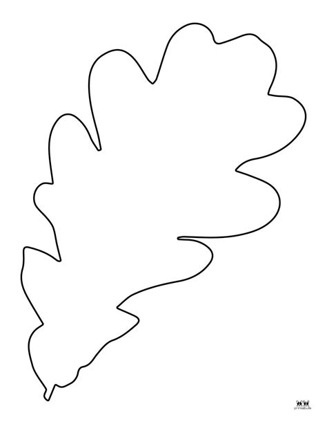Leaf Outlines Templates And Coloring Pages 55 Free Pages Printabulls
