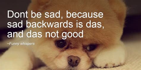 Dont Be Sad Because Sad Backwards Is Das And Das Not Good