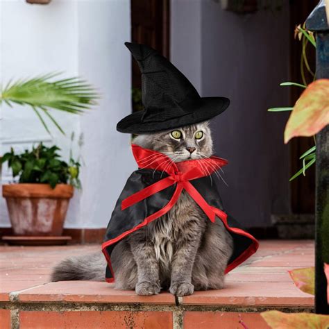 Best Costumes For Cats Popsugar Uk Pets