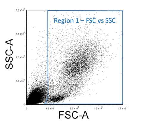 Considerations For Flow Cytometry Gating Facs Analysis Stemcell