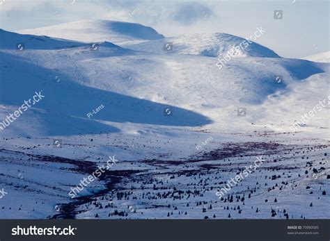 Alpine Tundra In Winter Yukon Territory Canada Stock Photo 70990585