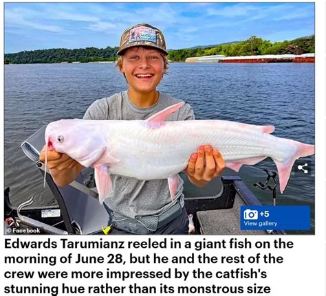 Catch Of A Lifetime 15 Year Old Boy Hooks A Rare Giant Albino Catfish