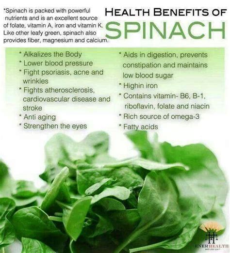Benefits Of Spinach Health Info Health And Nutrition Nutrition Facts