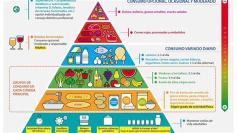 Pirámide alimenticia Concepto función y grupos alimentarios