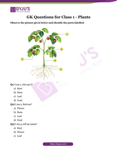 Our online bacteria trivia quizzes can be adapted to suit your requirements for taking some of the top bacteria quizzes. Questions about Plants for Class 1 Kids | Download ...