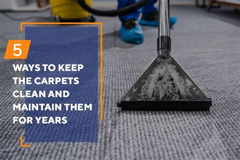 5 Smart Ways To Clean Carpets And Maintain Them For Years