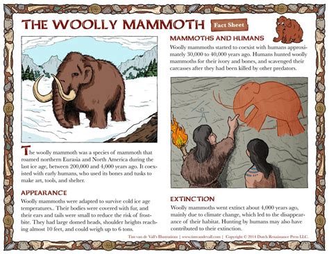 Woolly Mammoth Facts For Kids Tims Printables