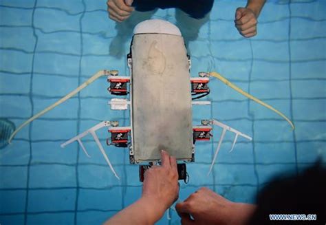 Chinese Researchers Develope Biomimetic Robot In Shape Of Manta Ray In