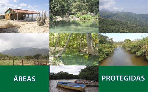 Un área natural protegida (anp) es una porción de territorio (terrestre o acuático) cuyo fin es conservar la estas zonas son manejadas bajo el instrumento político con mayor definición jurídica para la conservación, regulando sus actividades. Corpoguajira FORTALECE O GOVERNO DE GESTÃO E MONITORAMENTO ...