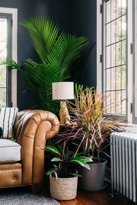 Check out these spaces that are fun. 43 Luxury Indoor Plants Ideas For Living Room To Make Your ...
