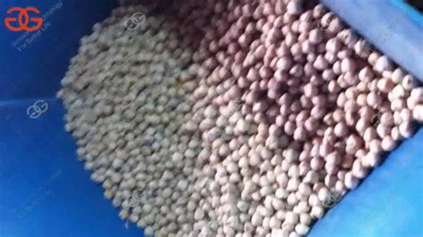 Dry Chickpeas Peeling Machine Chickepea Peeler Machine YouTube