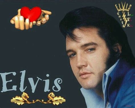 Pin By Tammy Hosey On Elvis Presley Elvis Presley Pictures Elvis Presley Cute Good Night