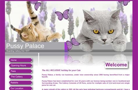 Pussys Palace British Cattery Directory