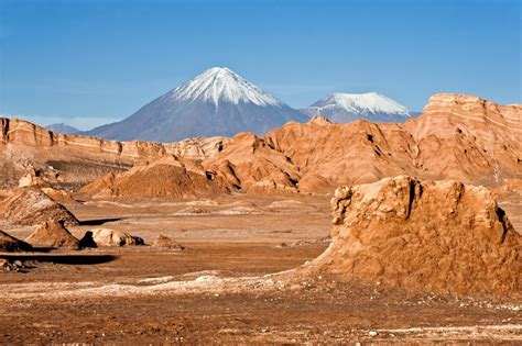 Lincredibile Deserto Fiorito Di Atacama
