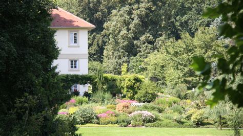 Diese ist heute mit dem schloss bestandteil der universität hohenheim. Botanischer Garten Hohenheim : Details Zu 0008306917 ...