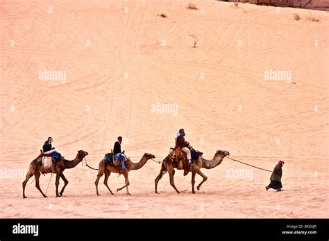 Huellas De Camellos Fotografías E Imágenes De Alta Resolución Alamy