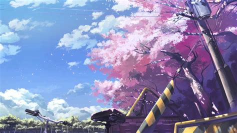 Cherry Blossoms Anime Background Anime Cherry Blossom Wallpaper