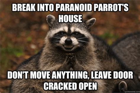 18 Evil Plotting Raccoon Memes That Will Make You Nervously Laugh Just