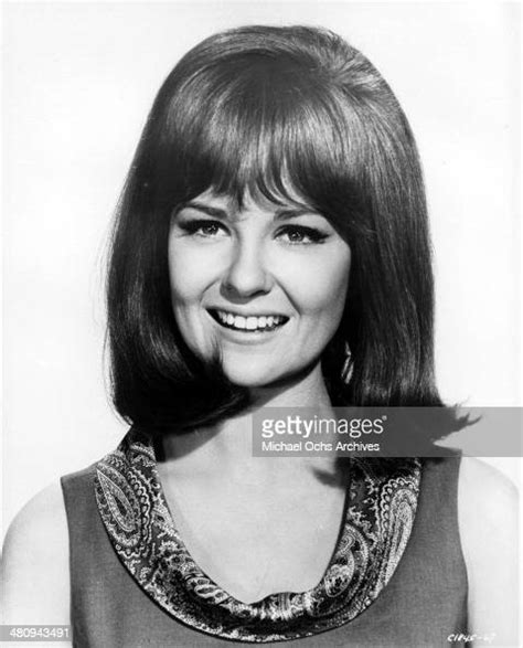 Entertainer Shelley Fabares Poses For A Portrait To Promote The News
